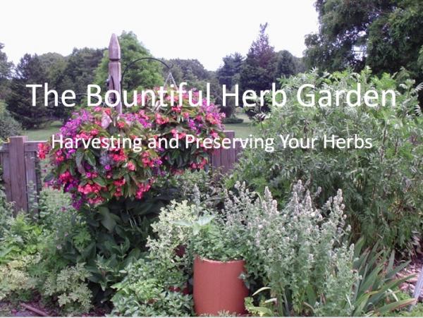 Image for event: The Bountiful Herb Garden