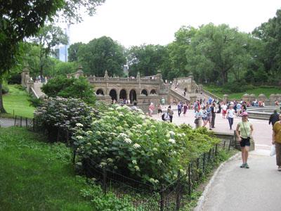 Image for event: Highlights of Central Park